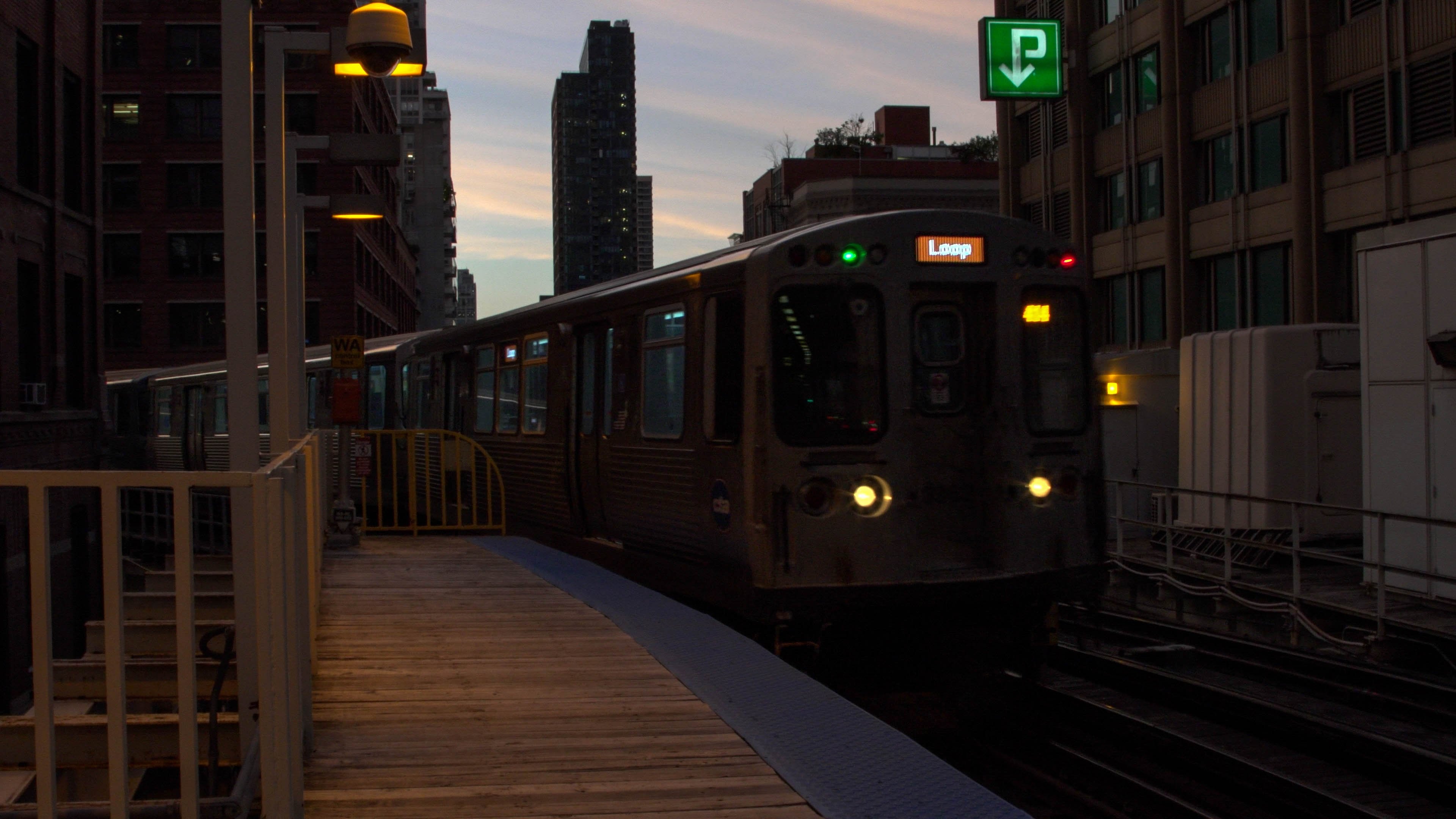 Backdrop for The Beauty of the L