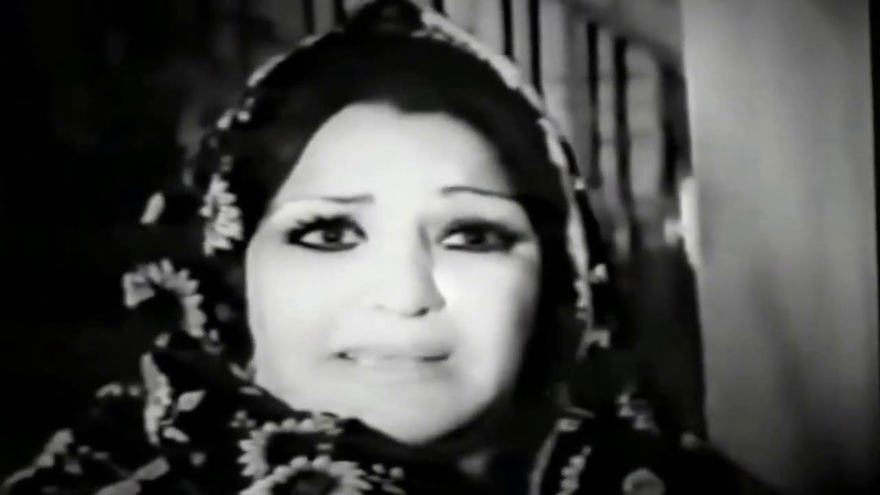 Backdrop for Baby Dandy