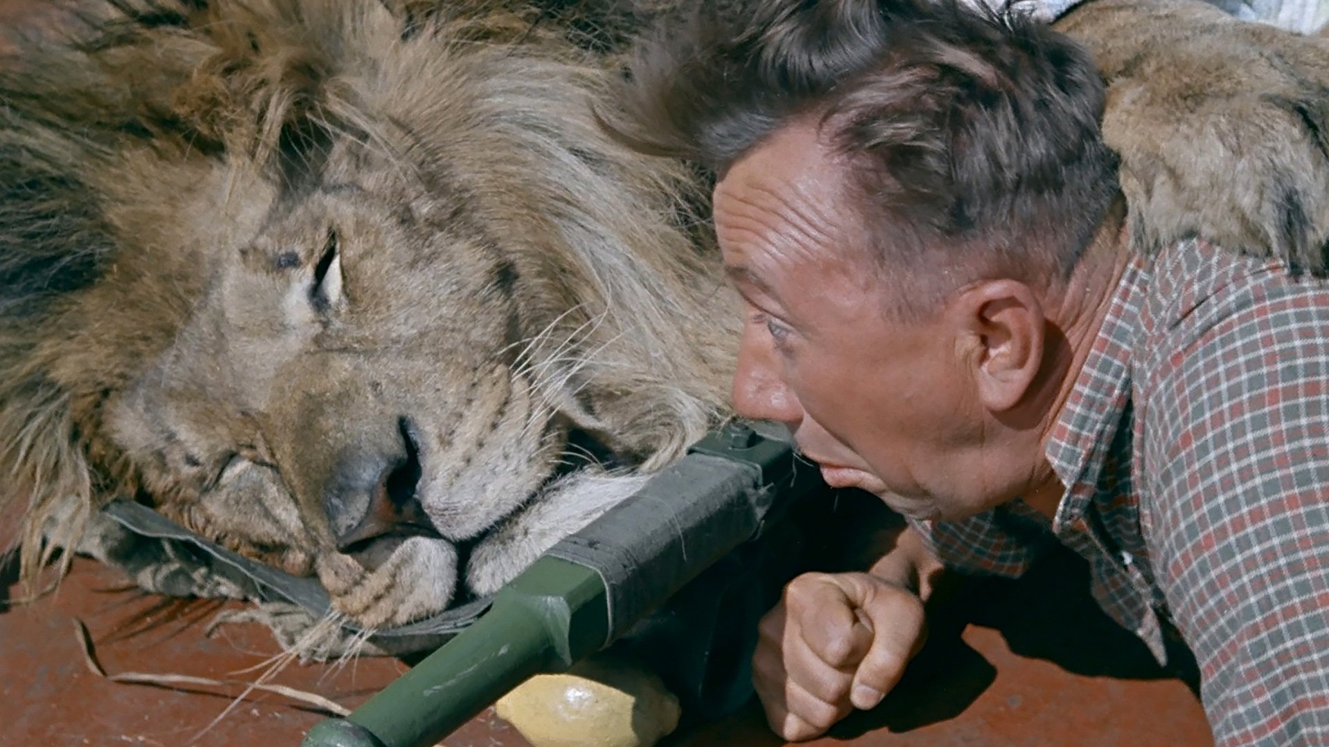 Backdrop for Striped Trip