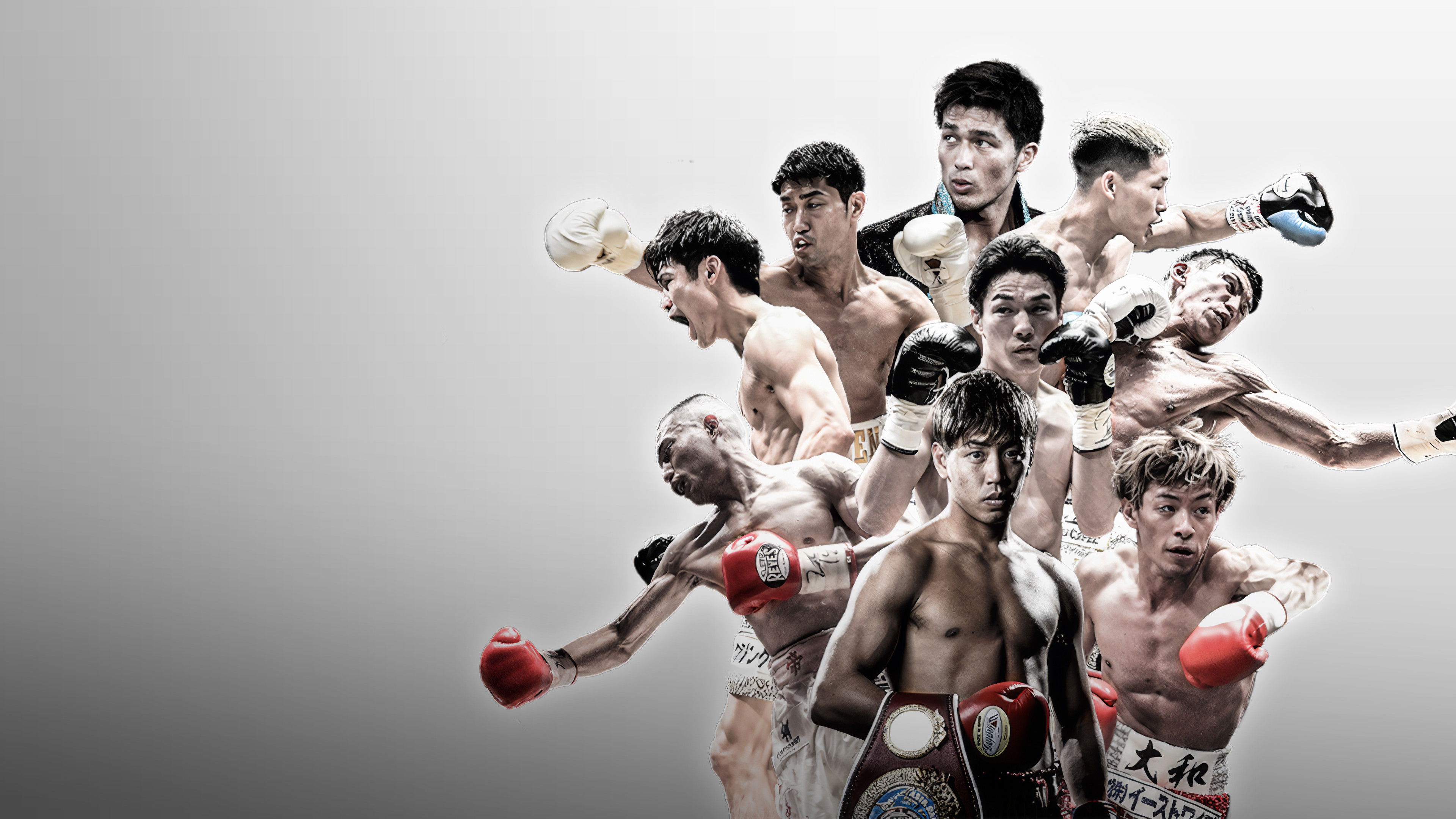 Backdrop for WHO'S NEXT DYNAMIC GLOVE BOXING vol.30