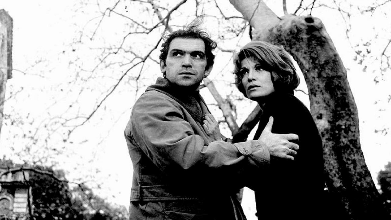 Backdrop for In the name of the law