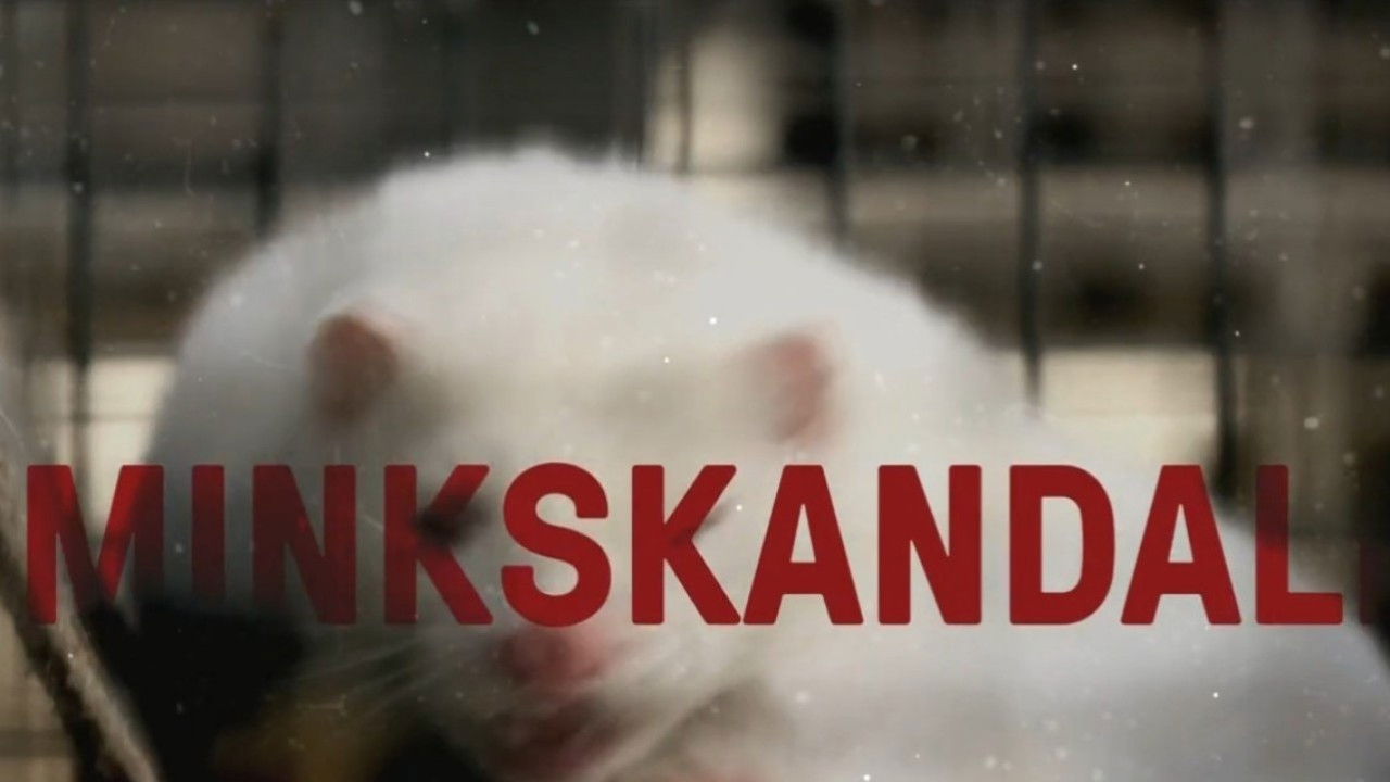Backdrop for Minkskandalen - Afgørelsens time