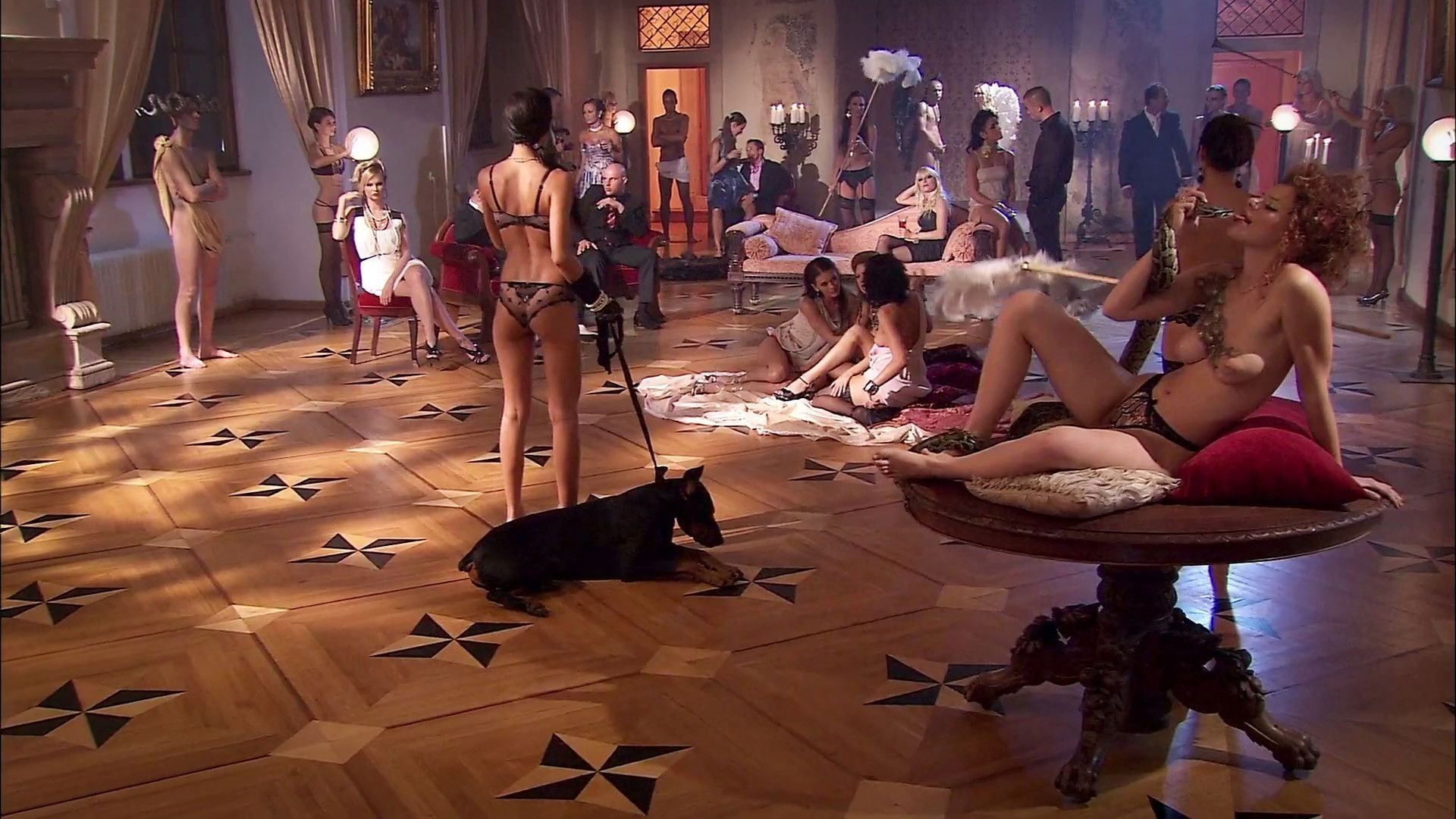 Backdrop for My First Orgy