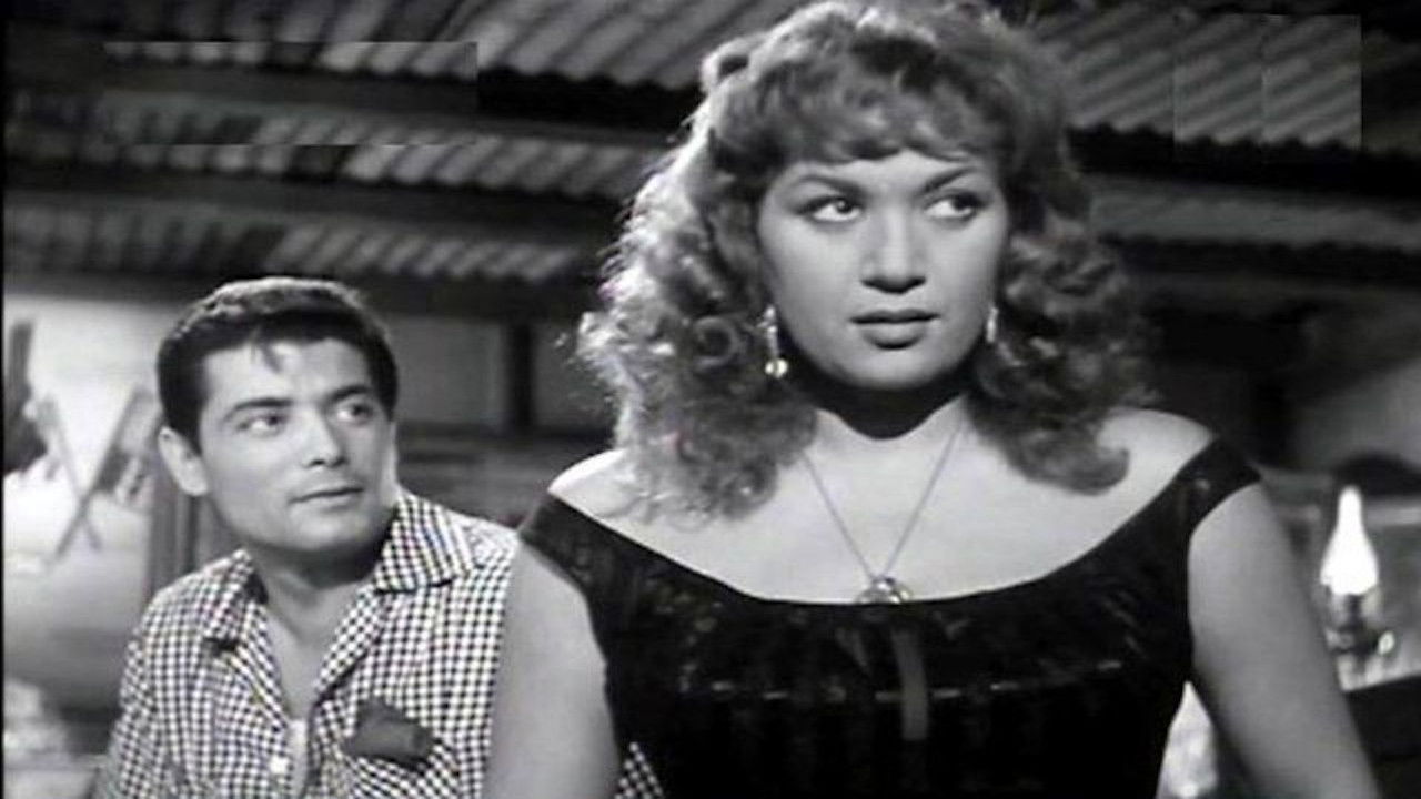 Backdrop for A woman on the Road