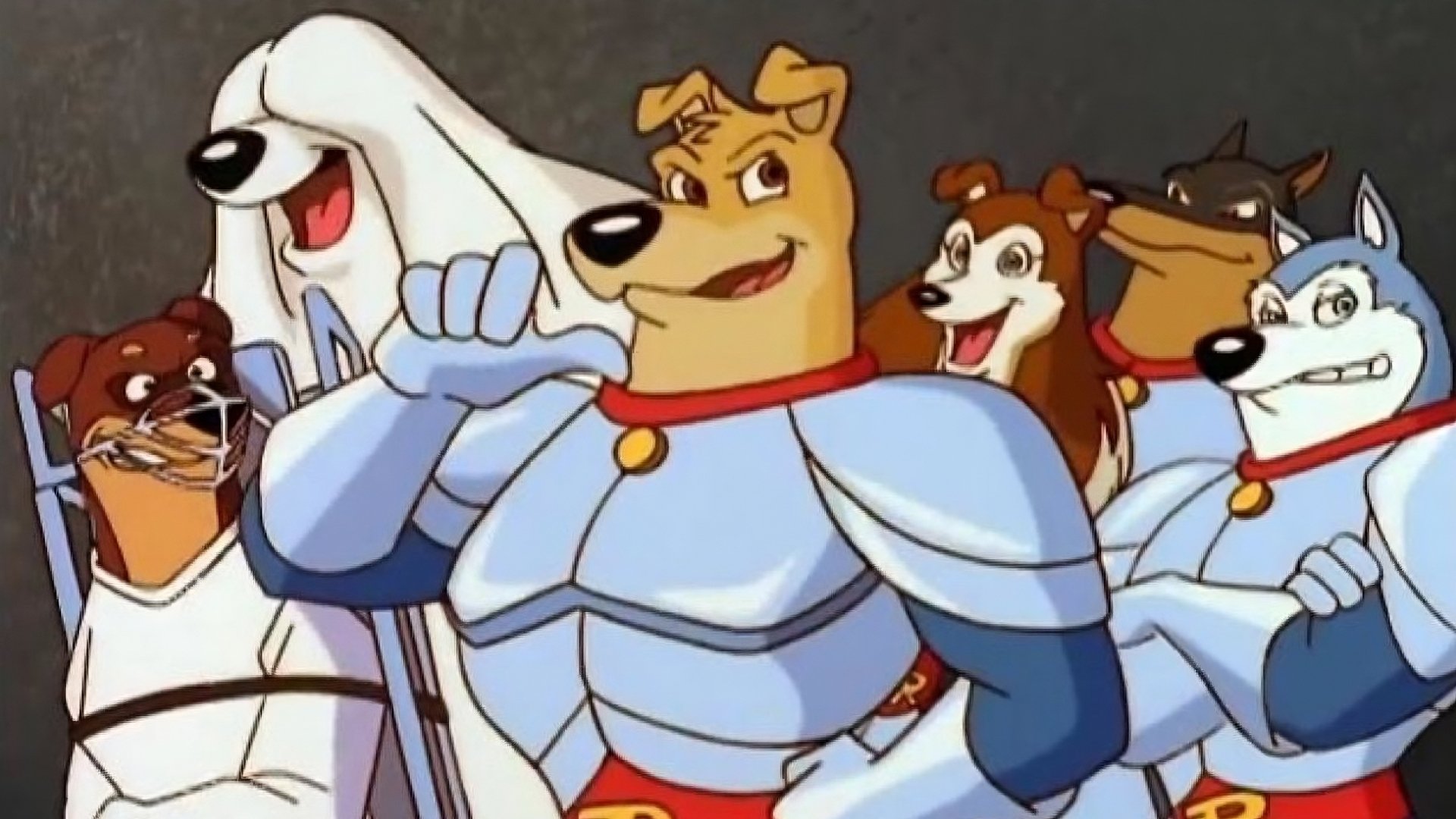 Backdrop for Road Rovers