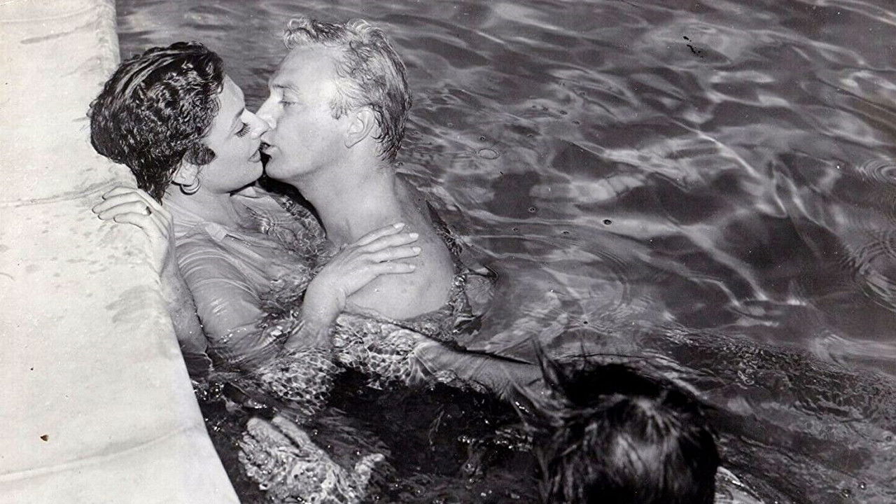 Backdrop for Look in Any Window