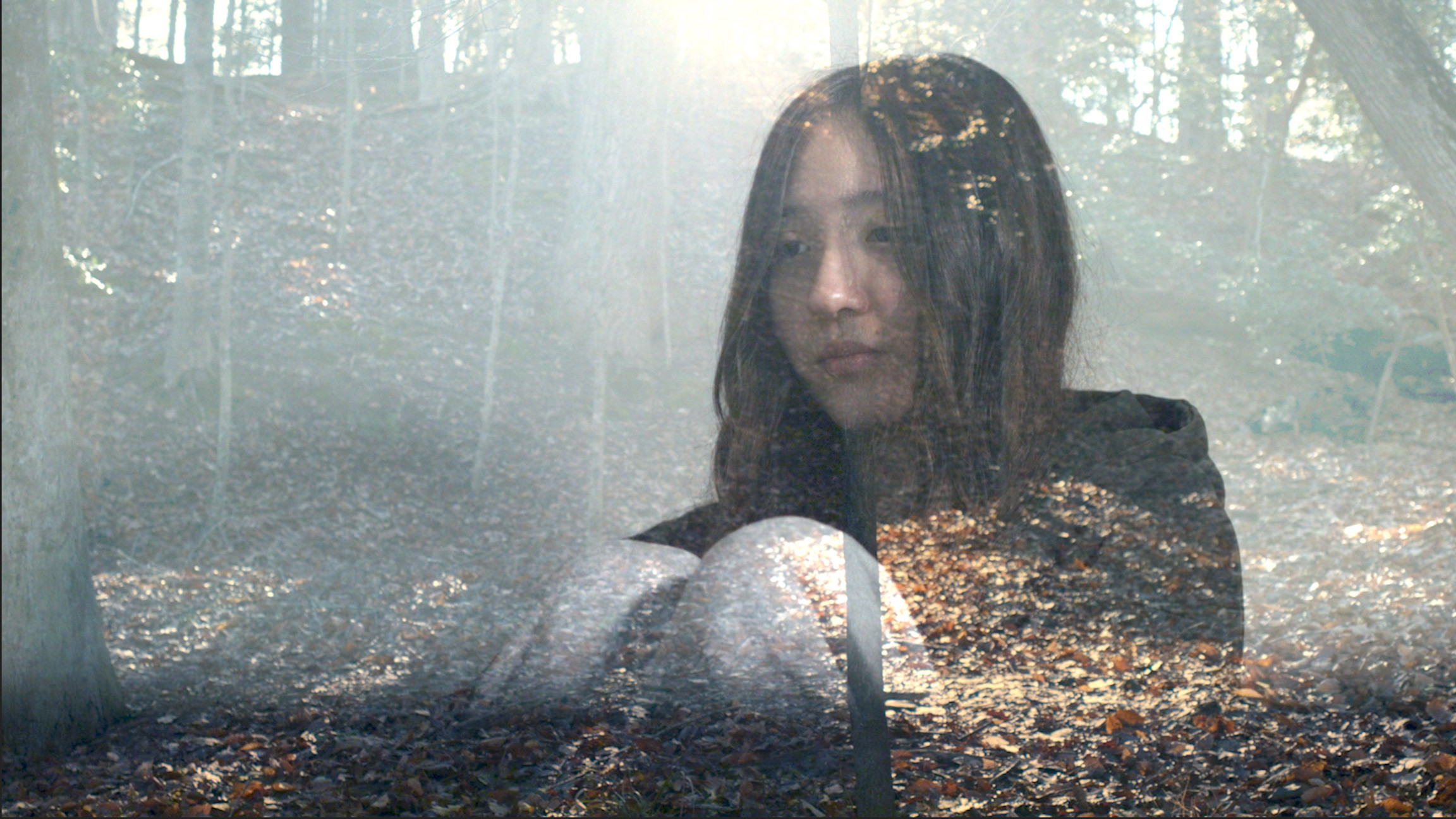 Backdrop for Statement 15