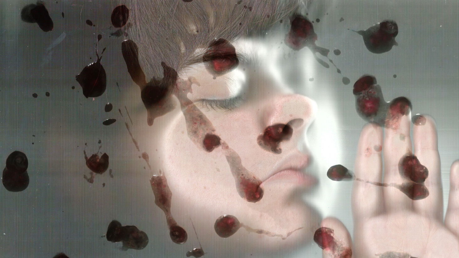 Backdrop for Mirtilos