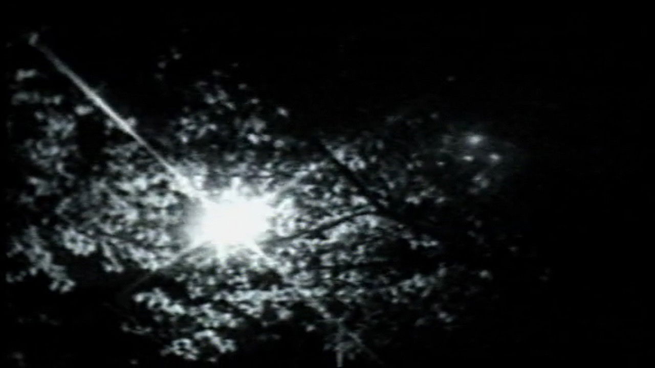 Backdrop for 4:44 (from her house home)