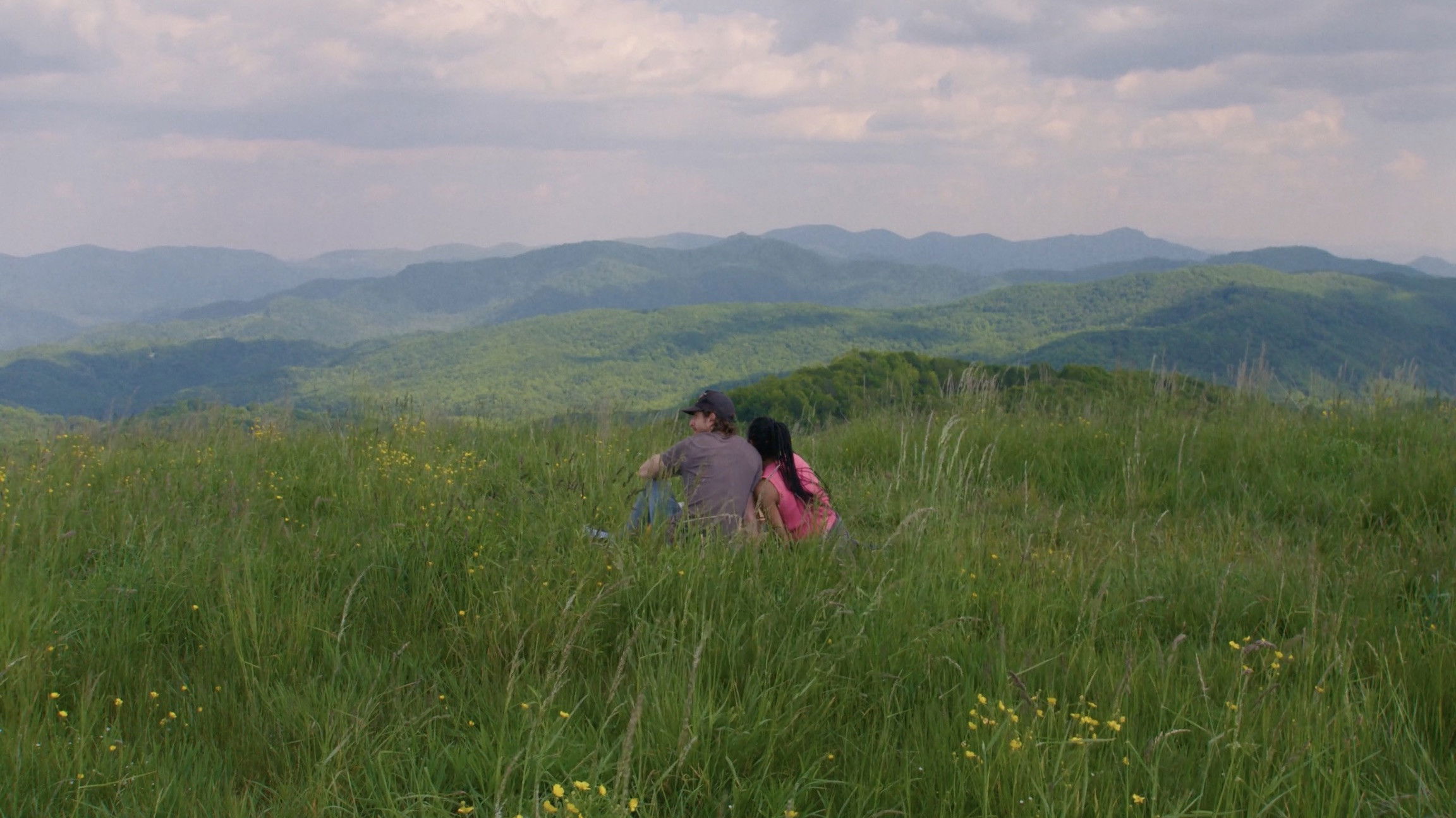 Backdrop for Do You Say What You Mean?