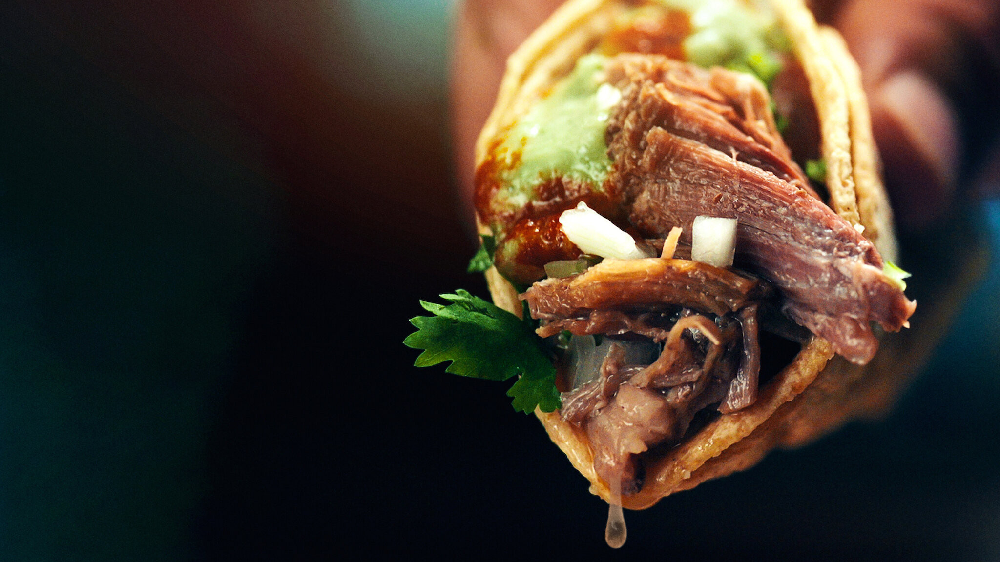 Backdrop for Taco Chronicles