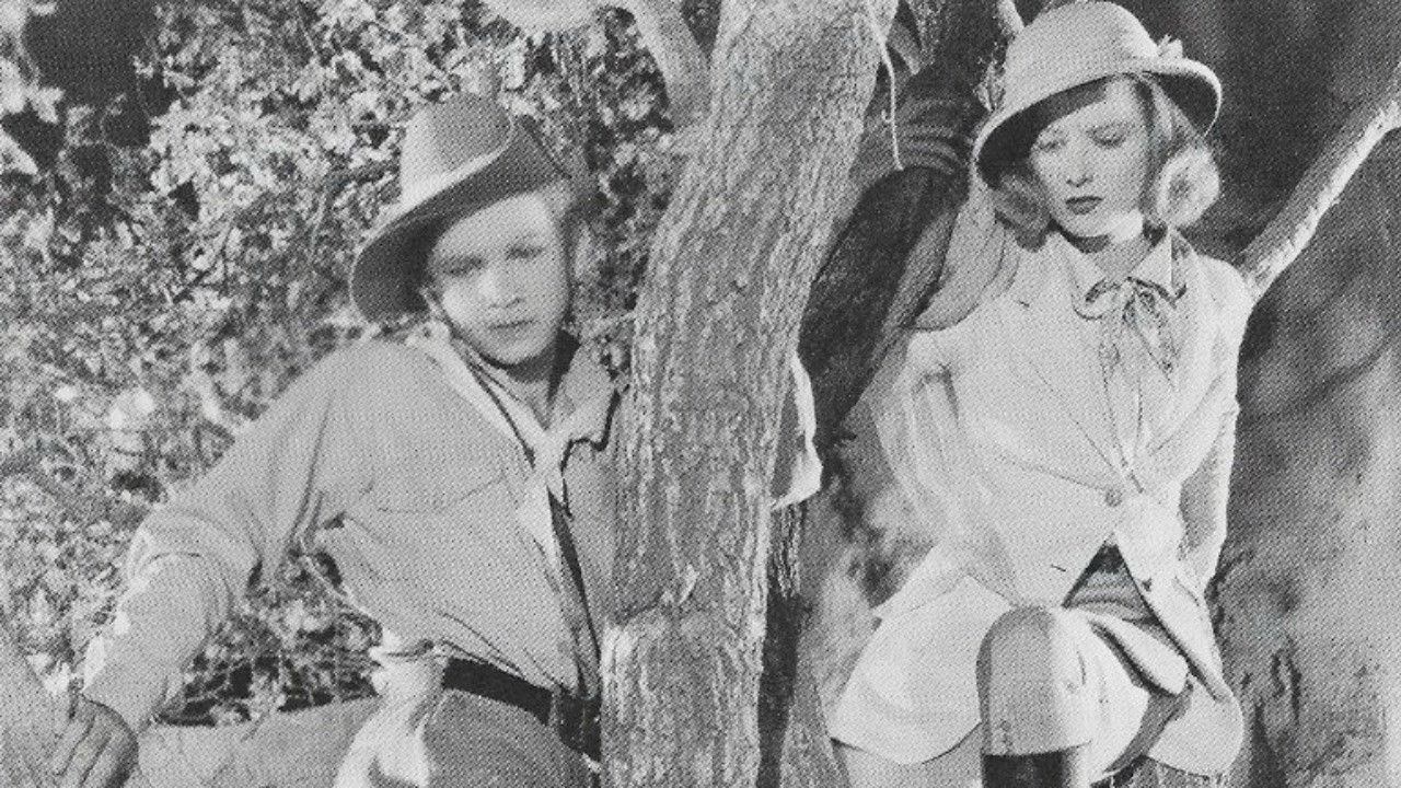 Backdrop for Tim Tyler's Luck