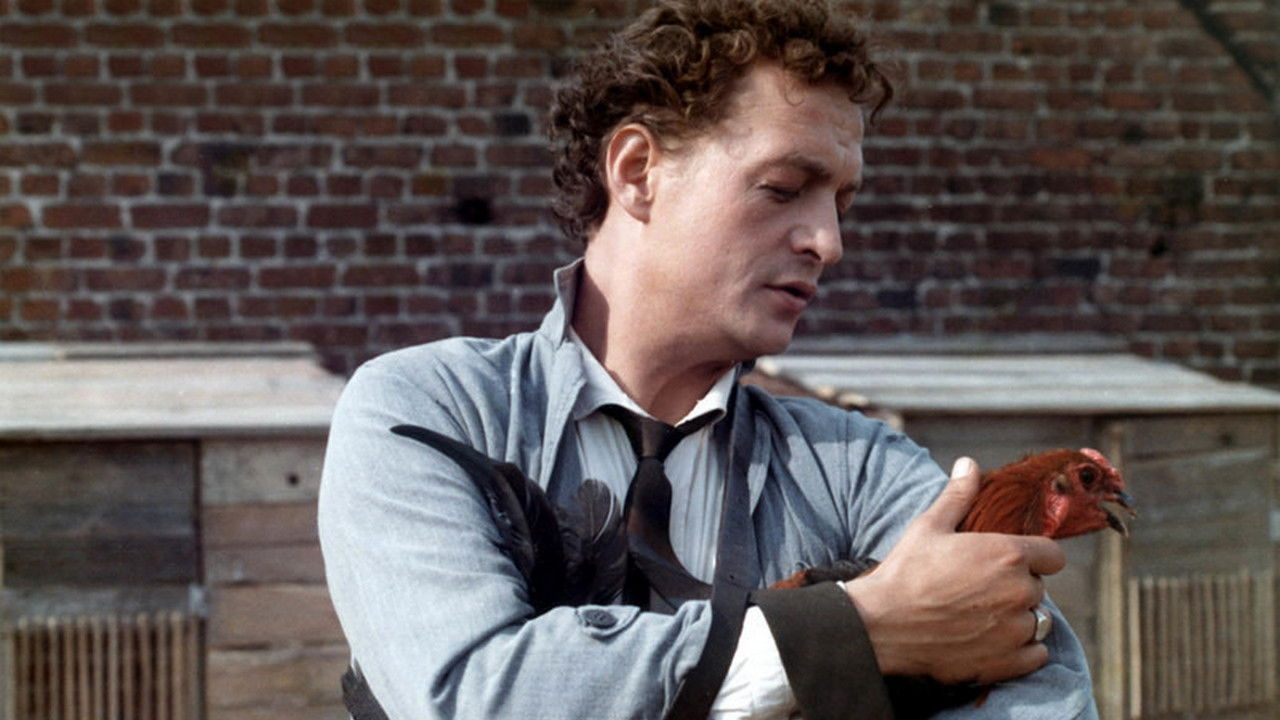 Backdrop for Solemn Communion