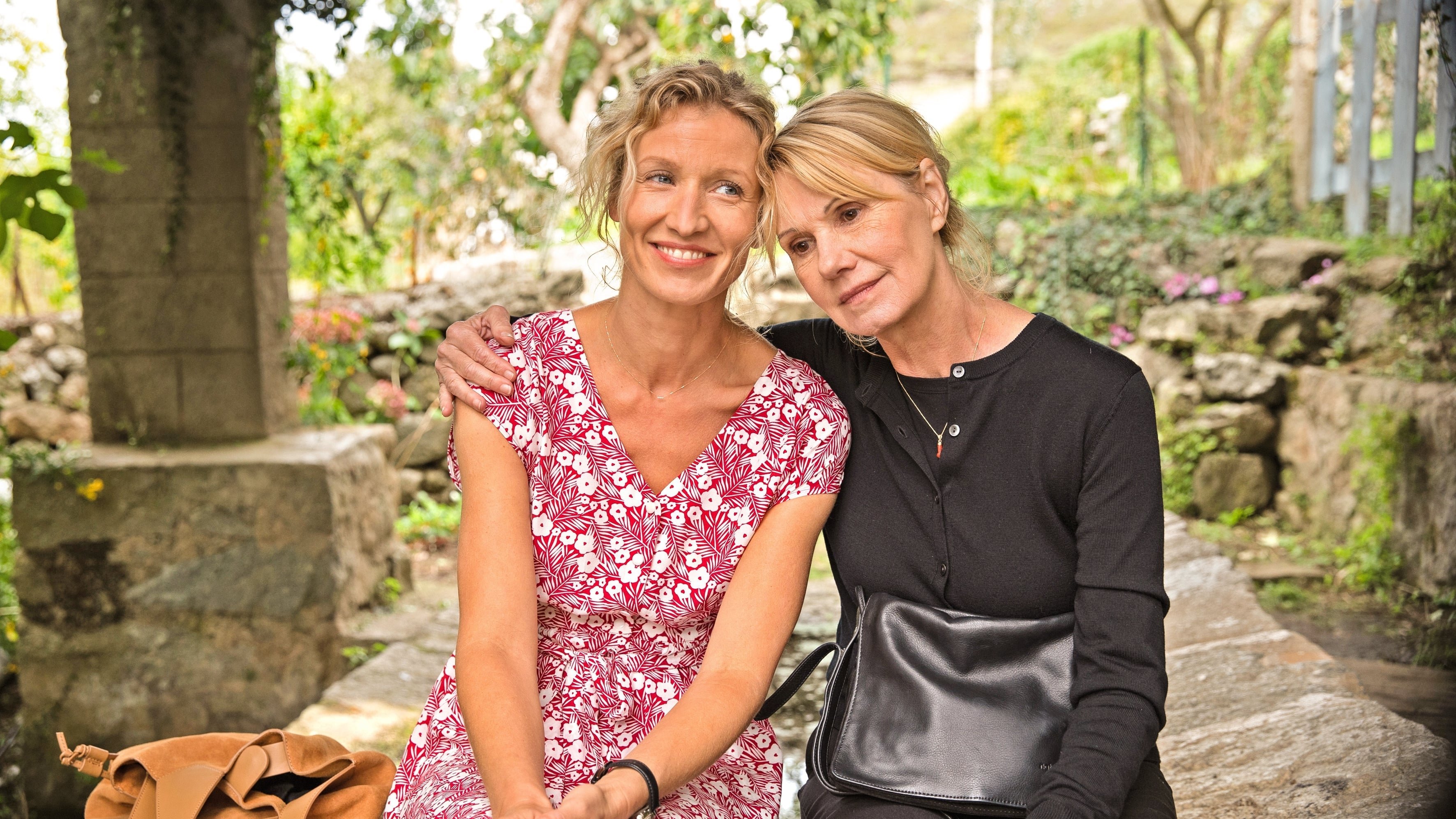 Backdrop for The Morning After