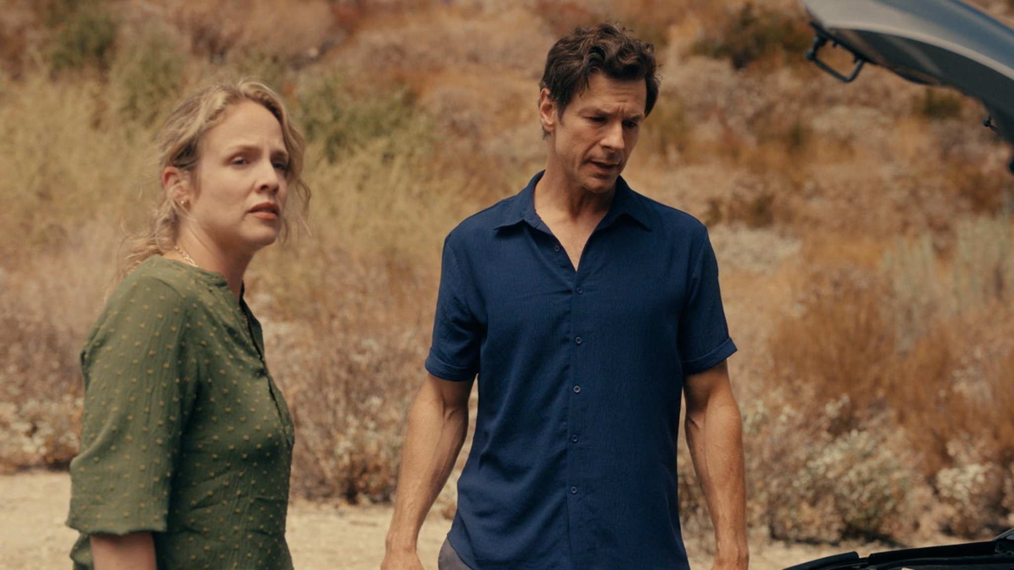 Backdrop for Vanished in Death Valley