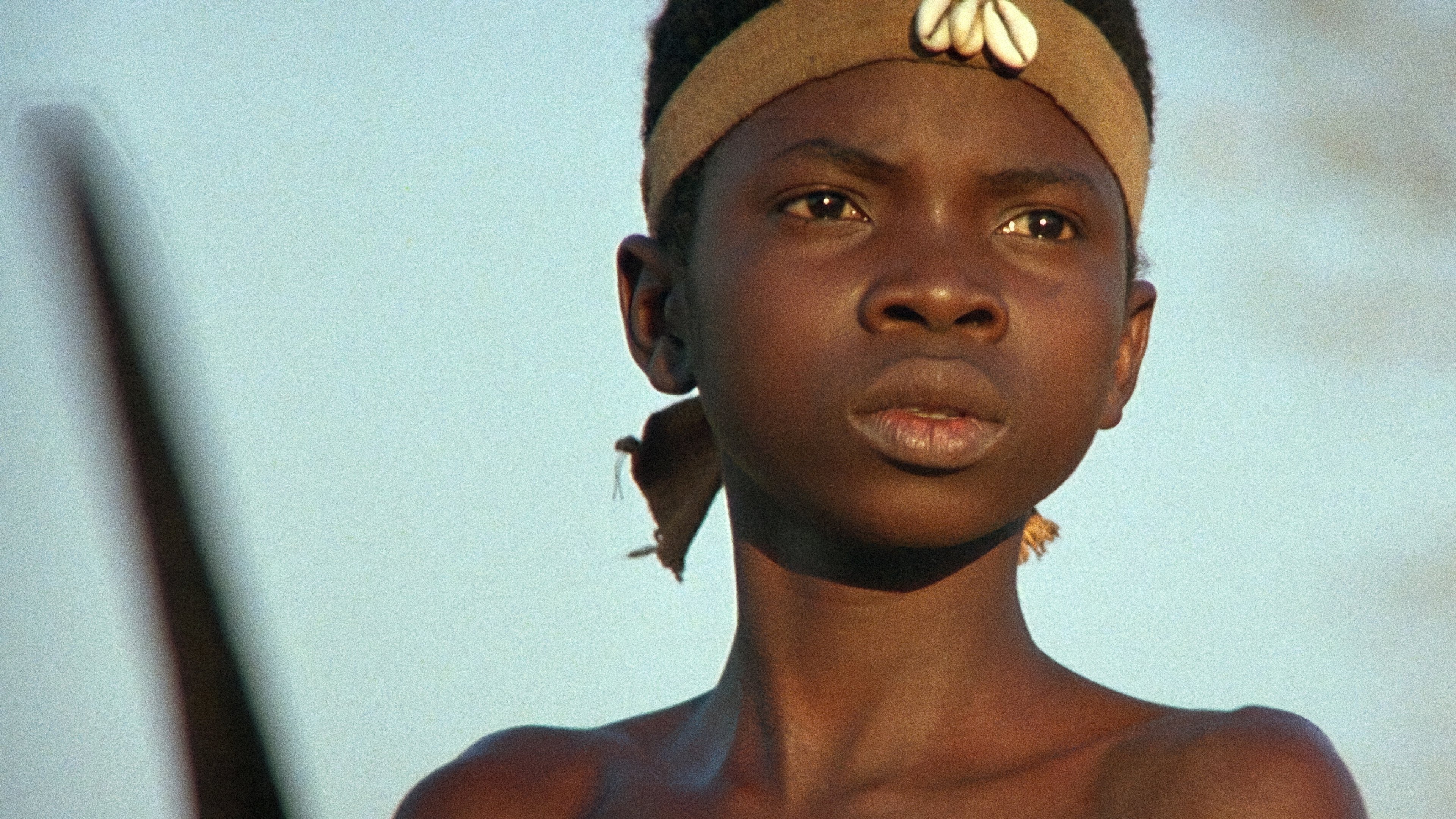 Backdrop for The Lion Child