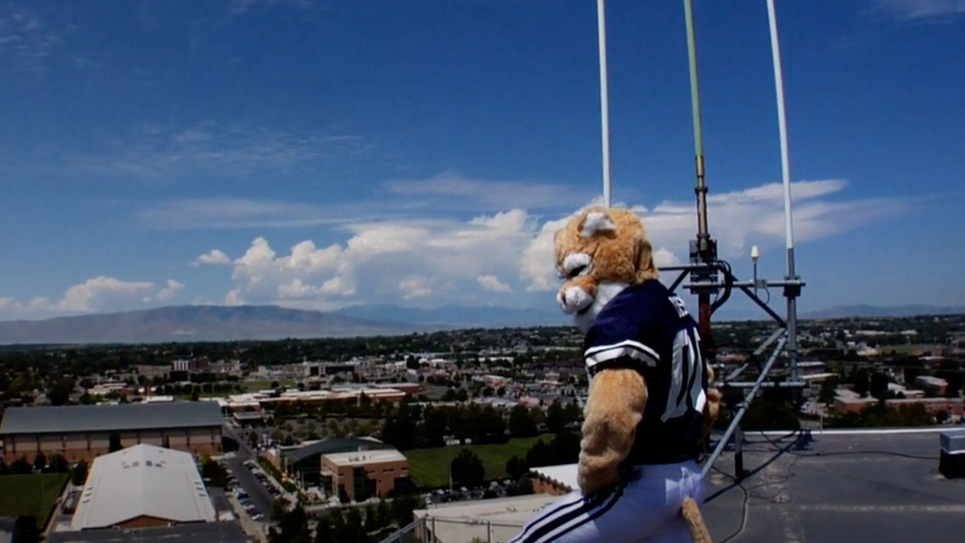 Backdrop for Cosmo: The Quest