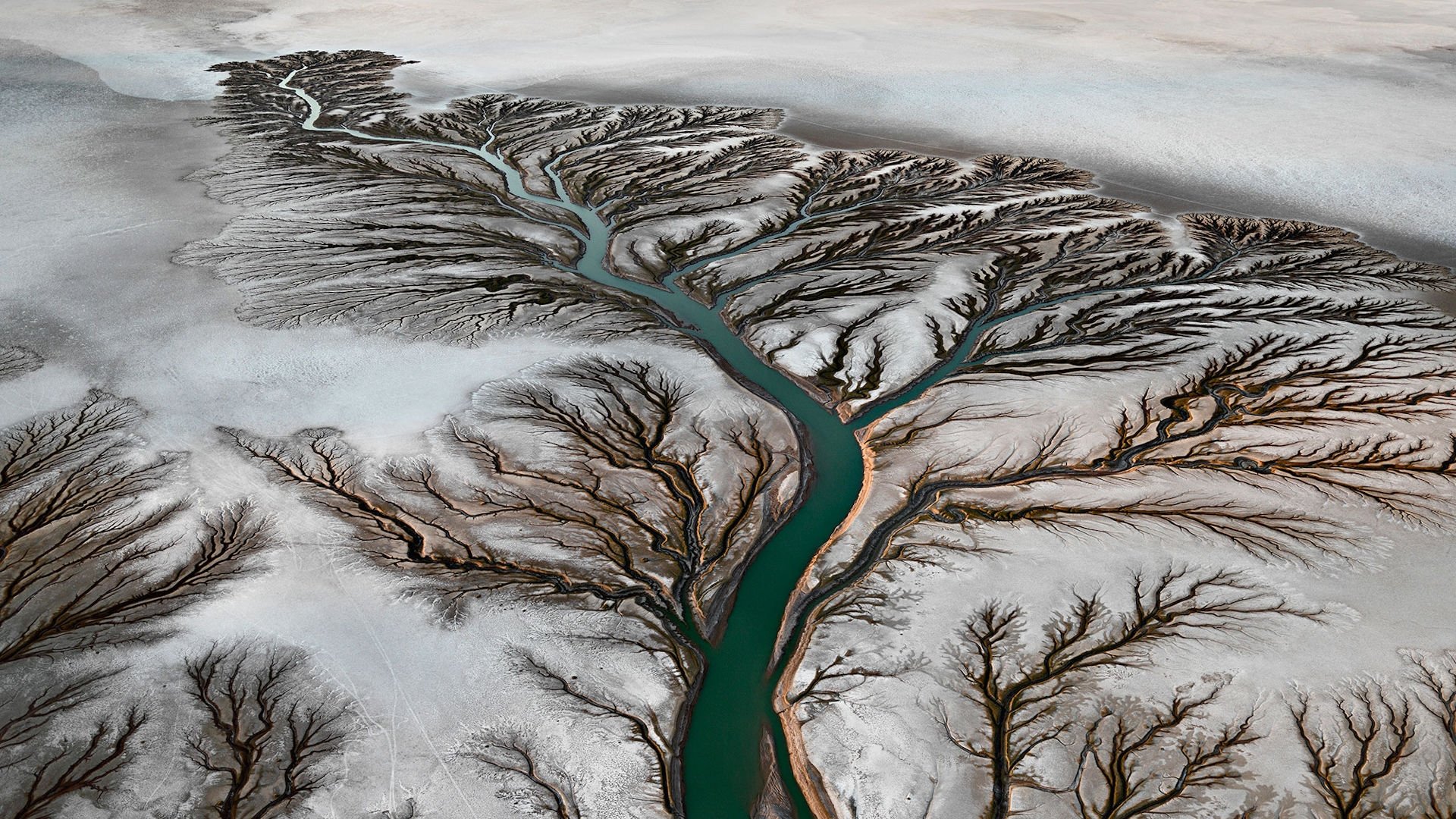 Backdrop for Watermark