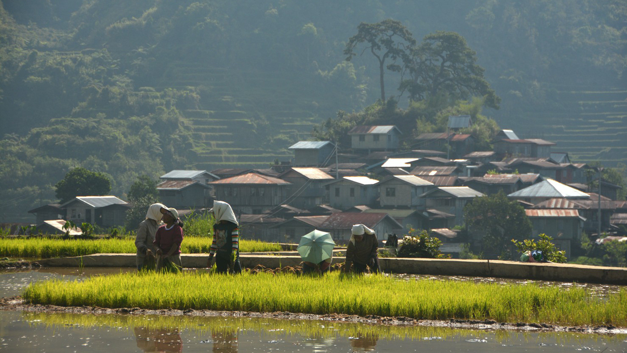 Backdrop for Bontok, Rapeless