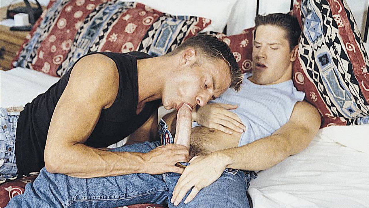 Backdrop for Aim to Please