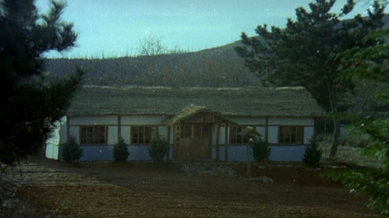 Backdrop for The Evergreen Tree