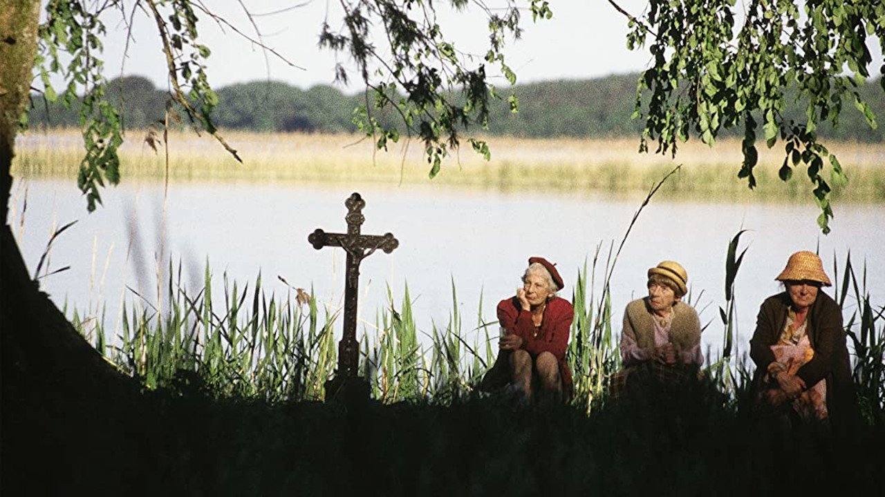 Backdrop for Now or Never