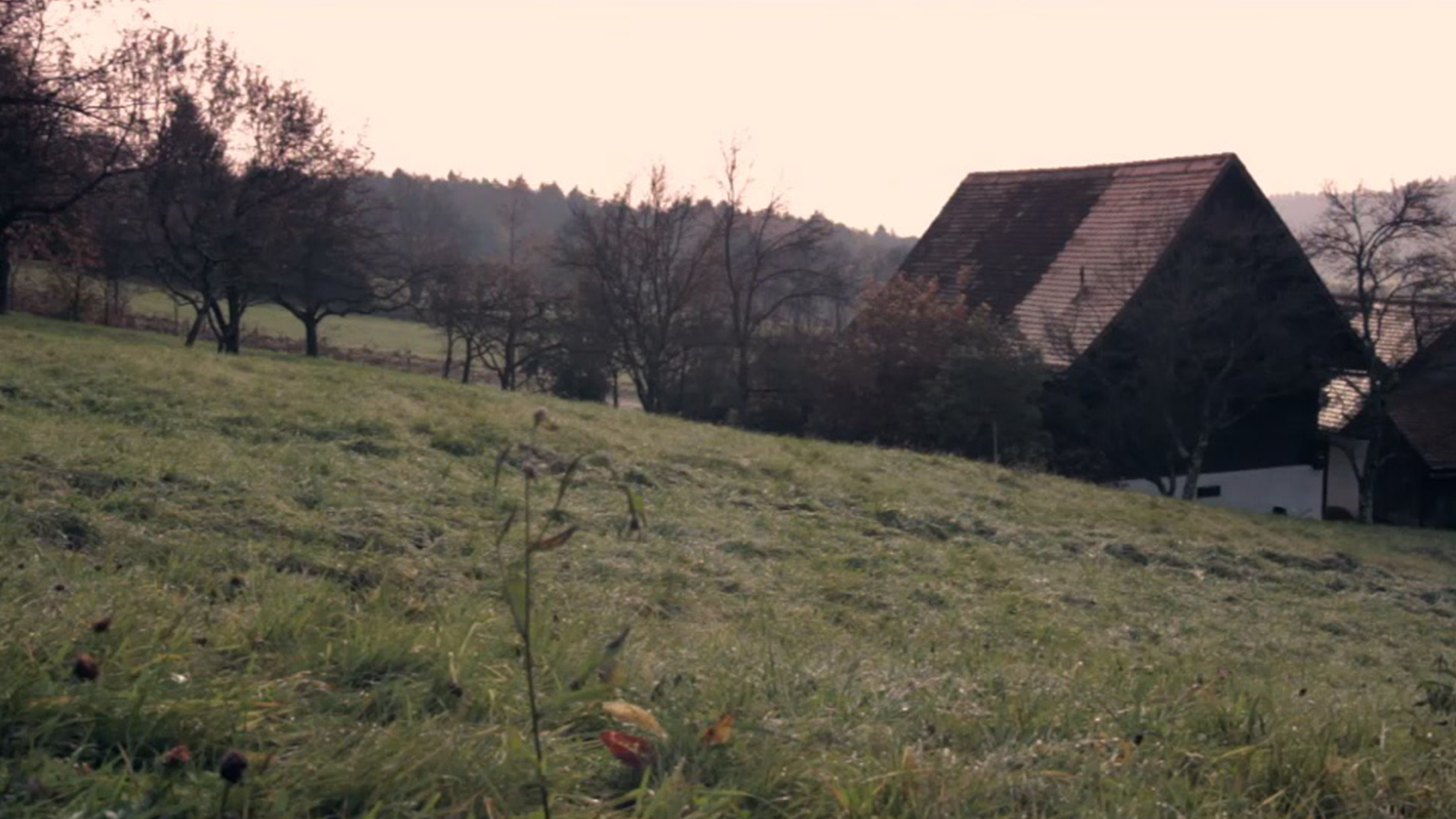 Backdrop for Strange Loop