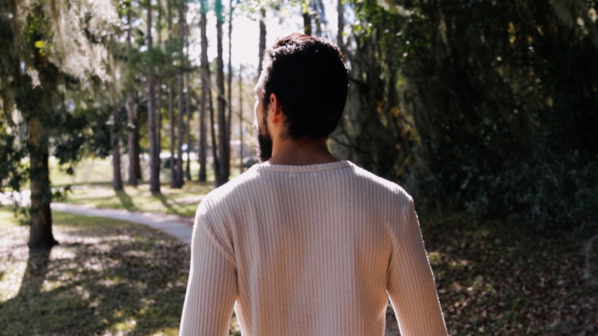 Backdrop for Music Box