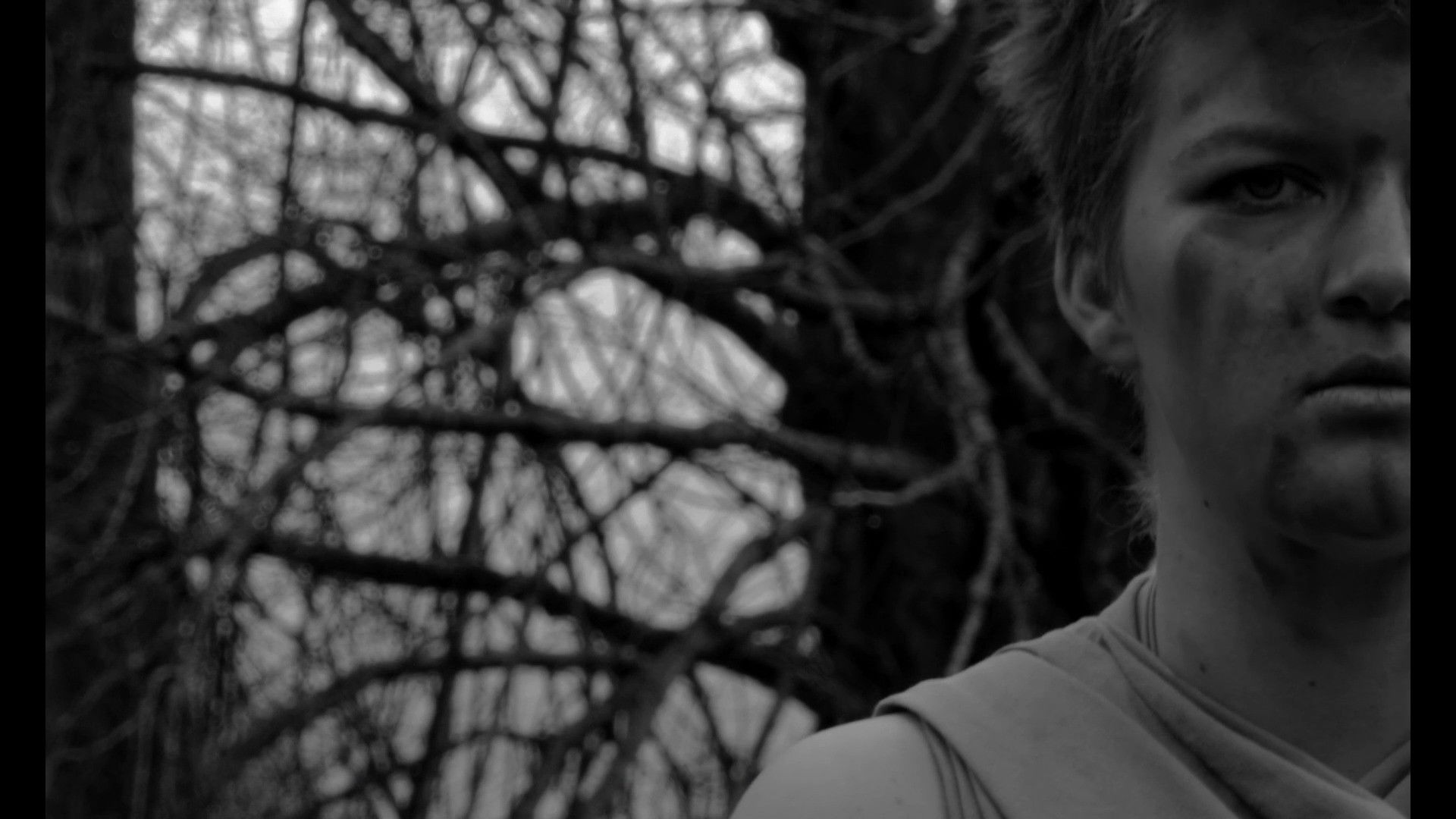 Backdrop for Spectres