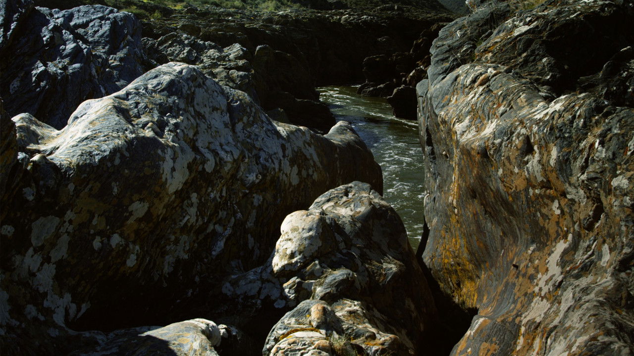 Backdrop for Nos Campos em Volta