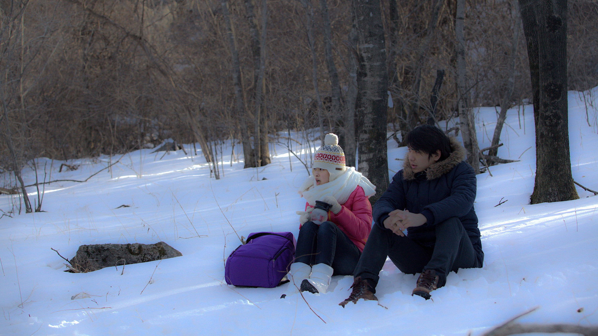 Backdrop for When Winter Screams