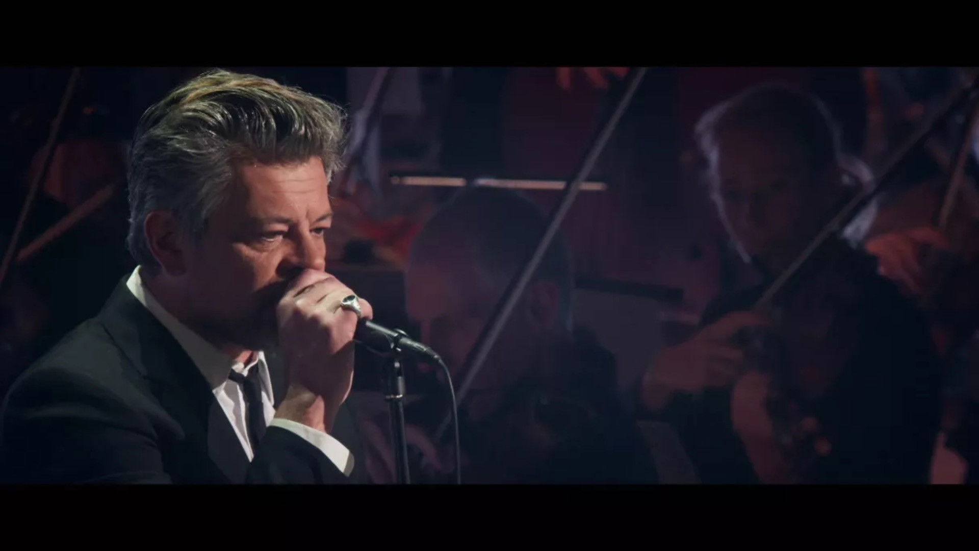 Backdrop for Benjamin Biolay Symphonique