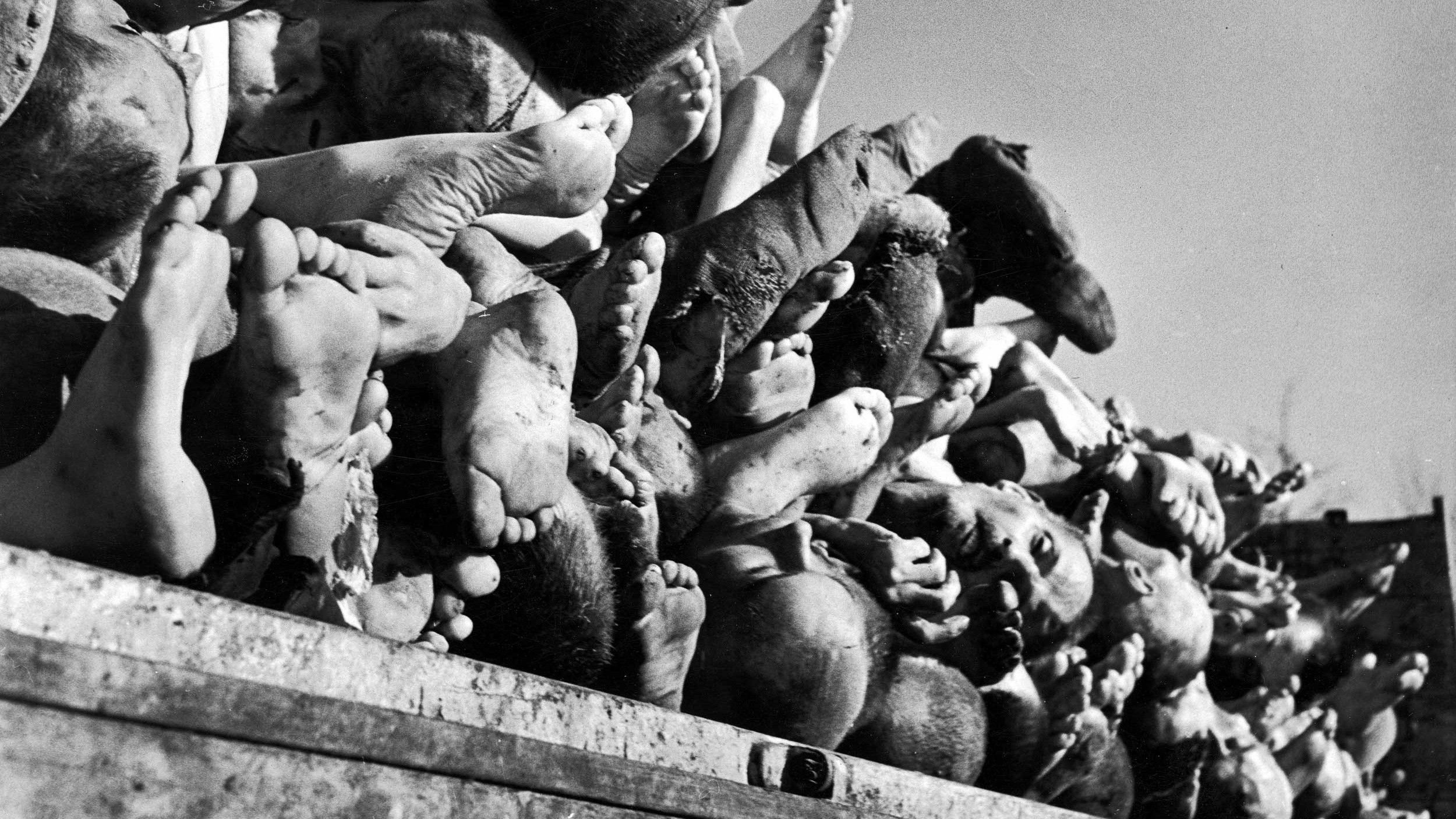 Backdrop for Histories of the Holocaust:Buchenwald