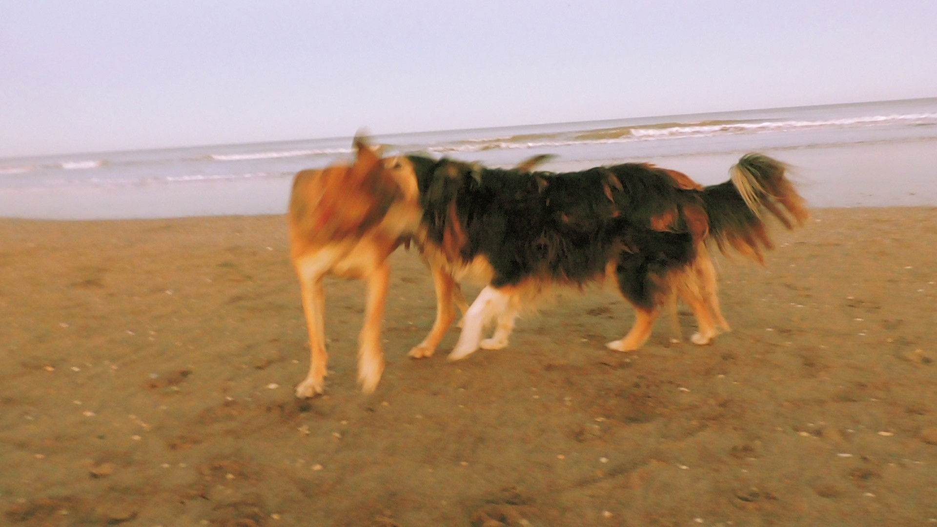 Backdrop for From The 20s In the 80s