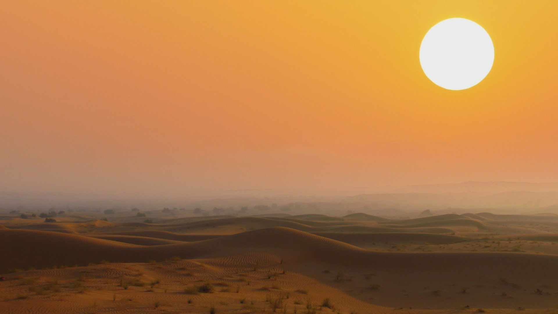 Backdrop for Arabian Inferno