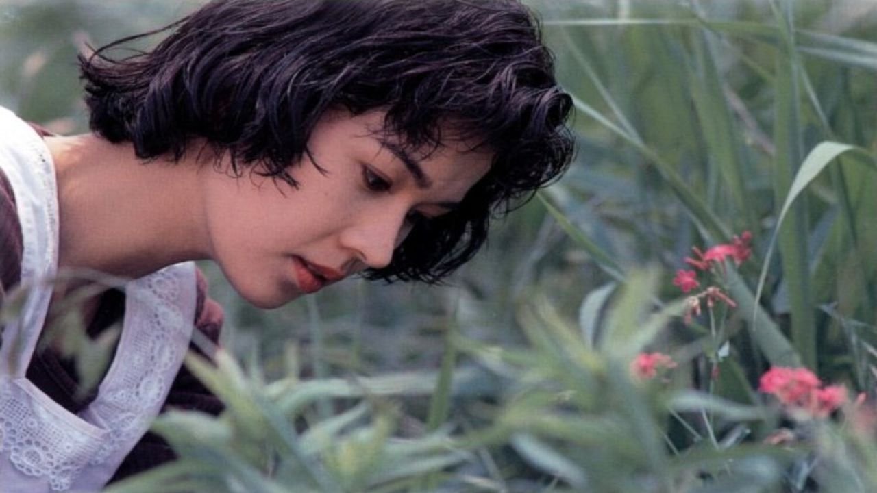 Backdrop for The Eel