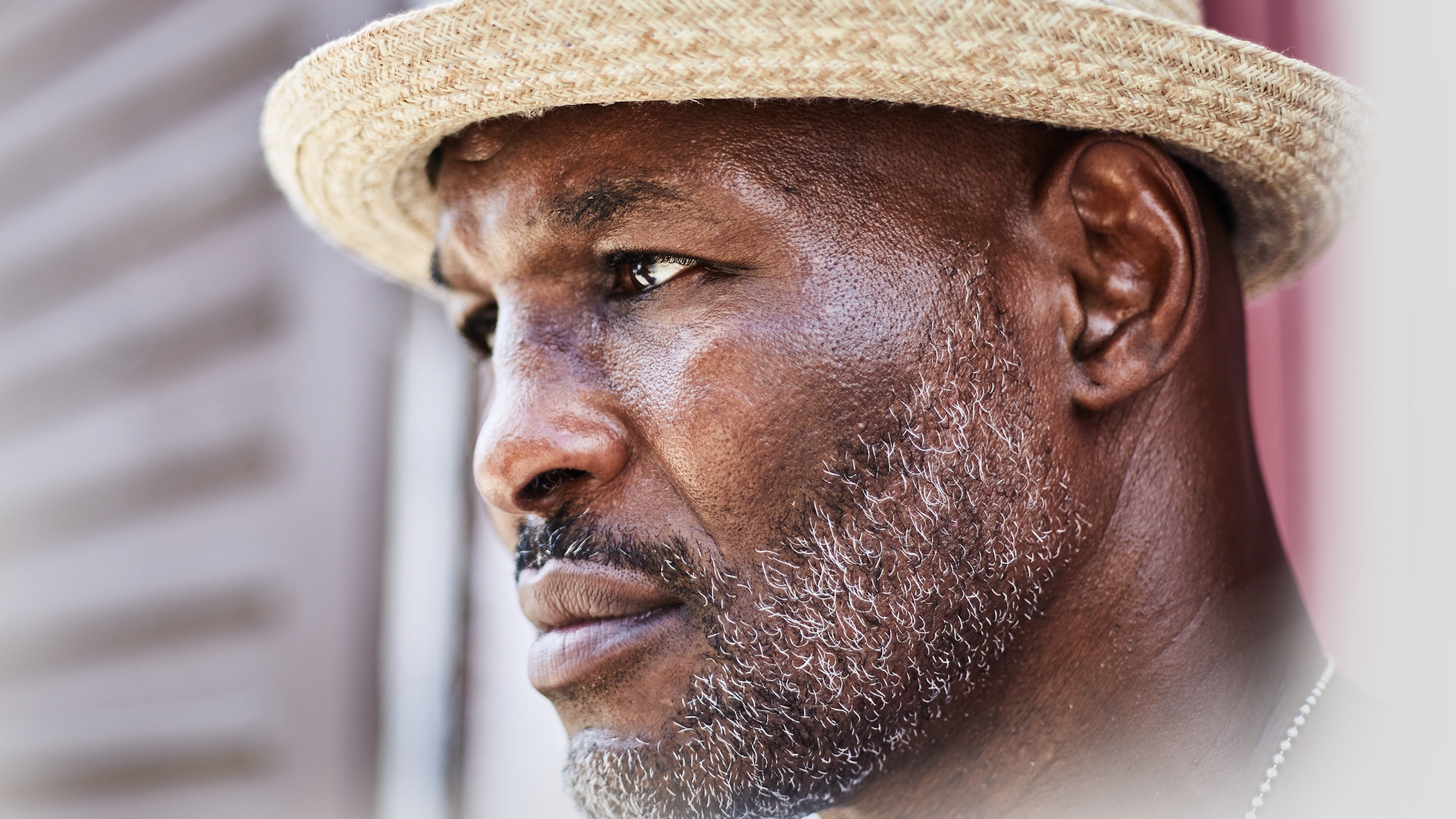 Backdrop for In the Company of Kings