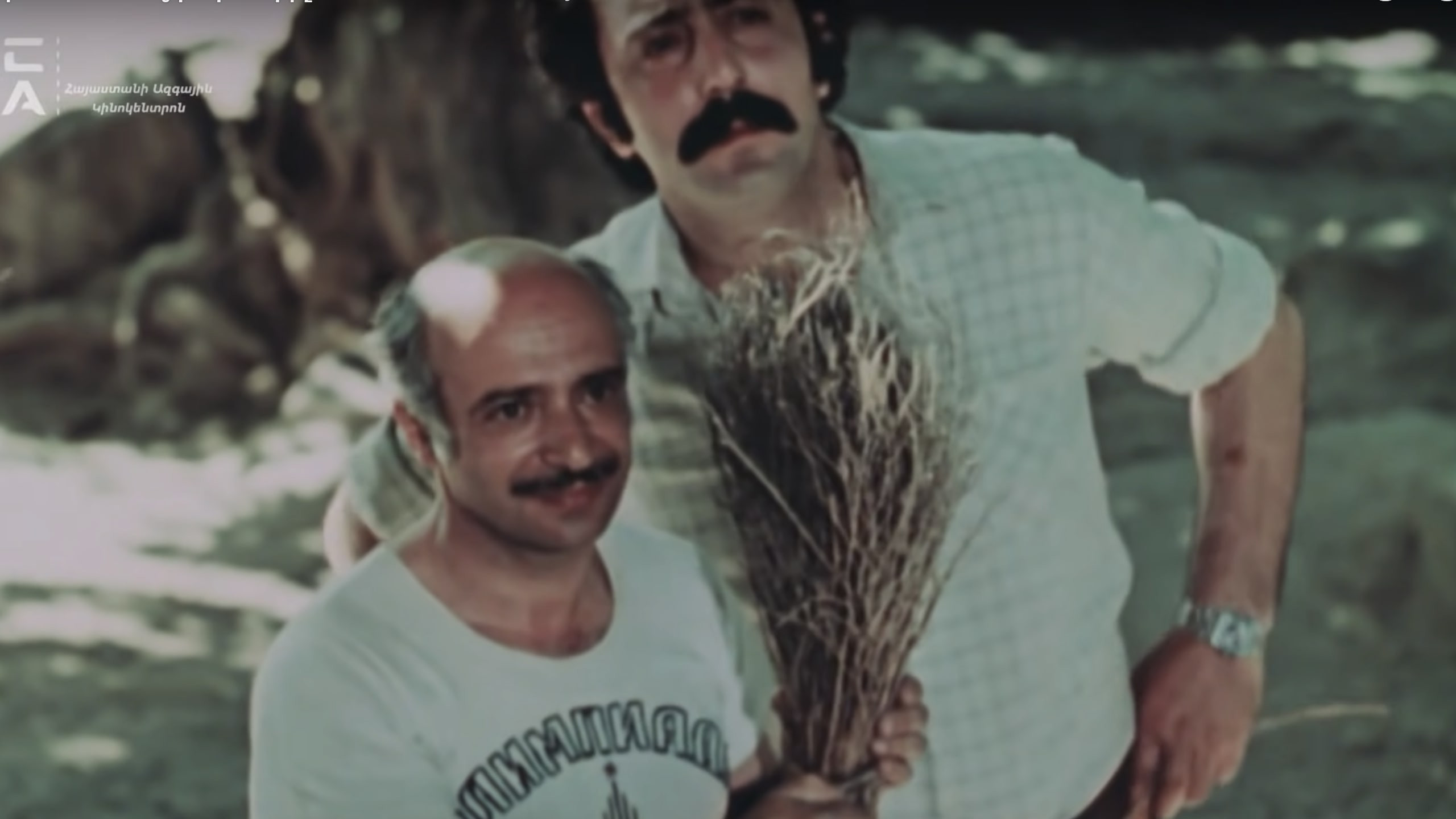 Backdrop for The Mulberry Tree