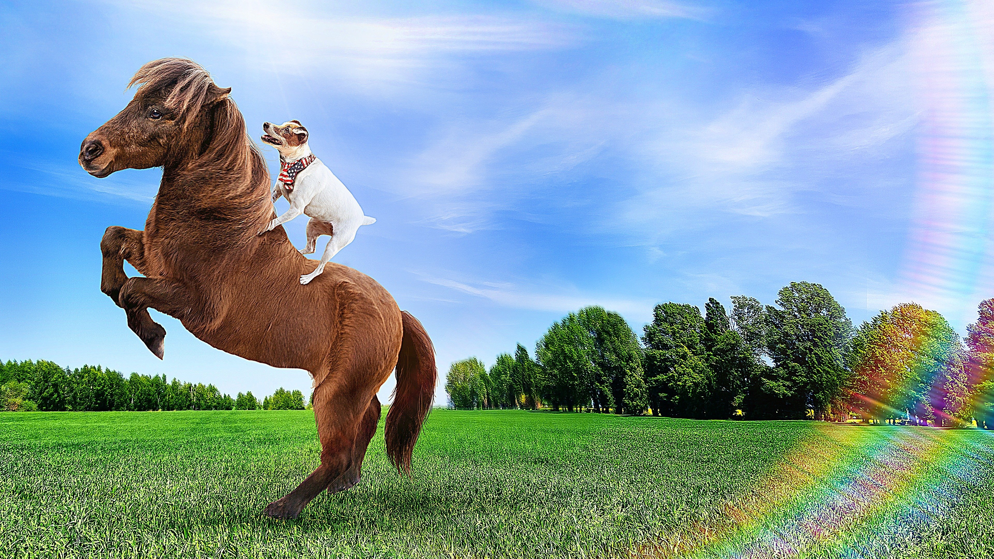 Backdrop for Adventures of Dally and Spanky