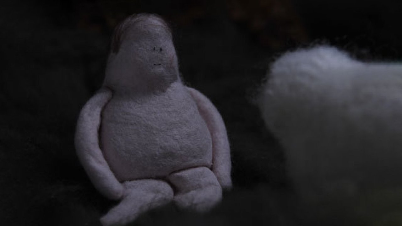 Backdrop for Soft Plants