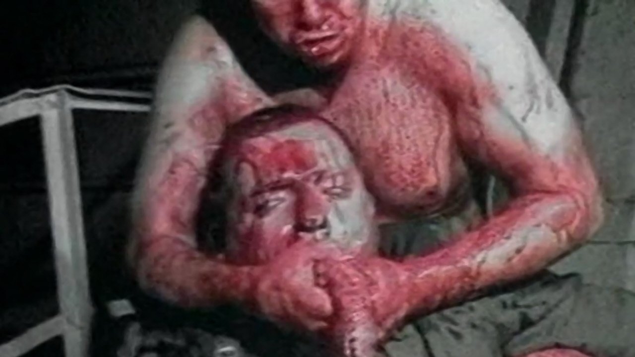 Backdrop for The Green Elephant