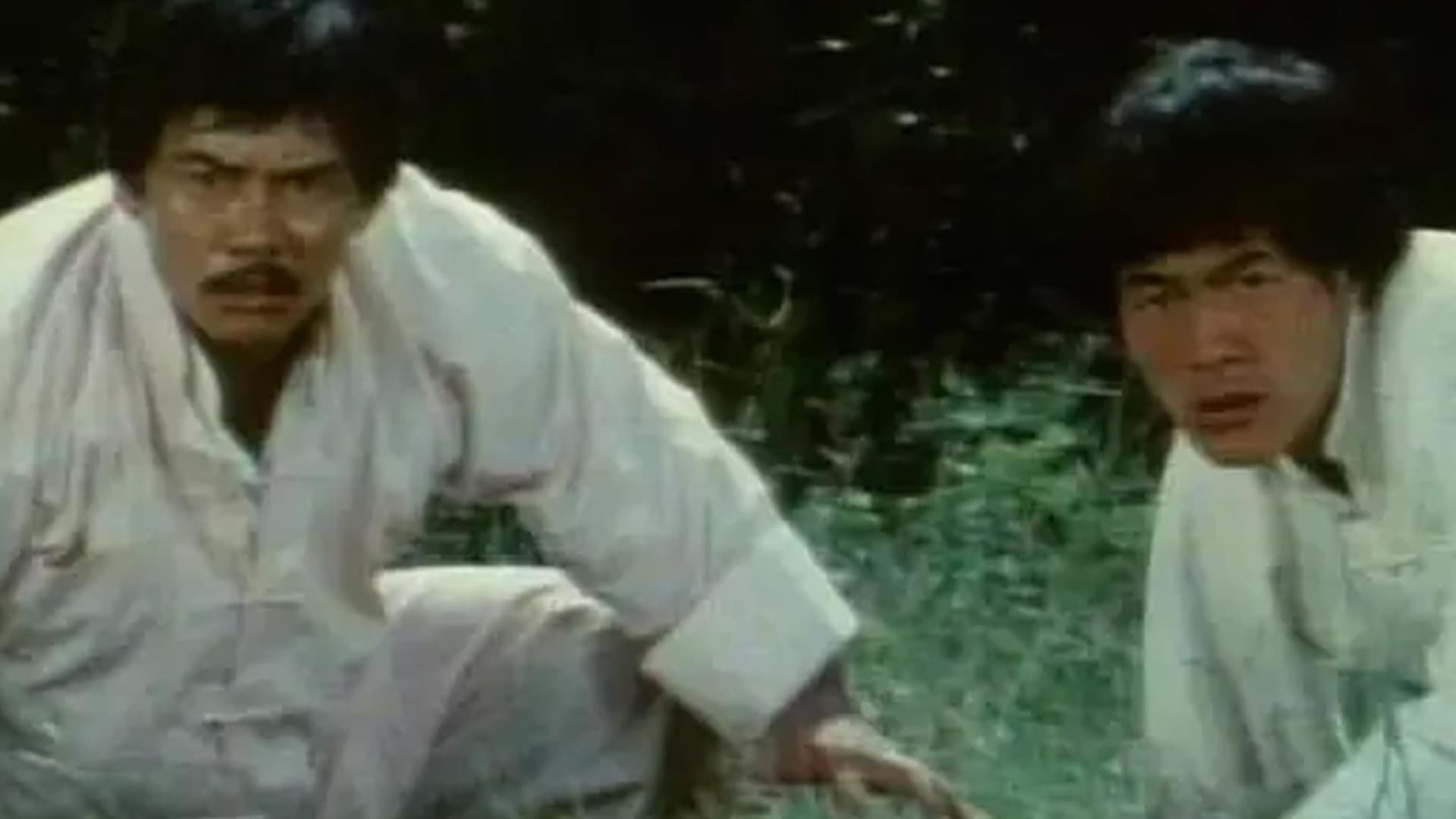 Backdrop for Bruce Lee The Invincible