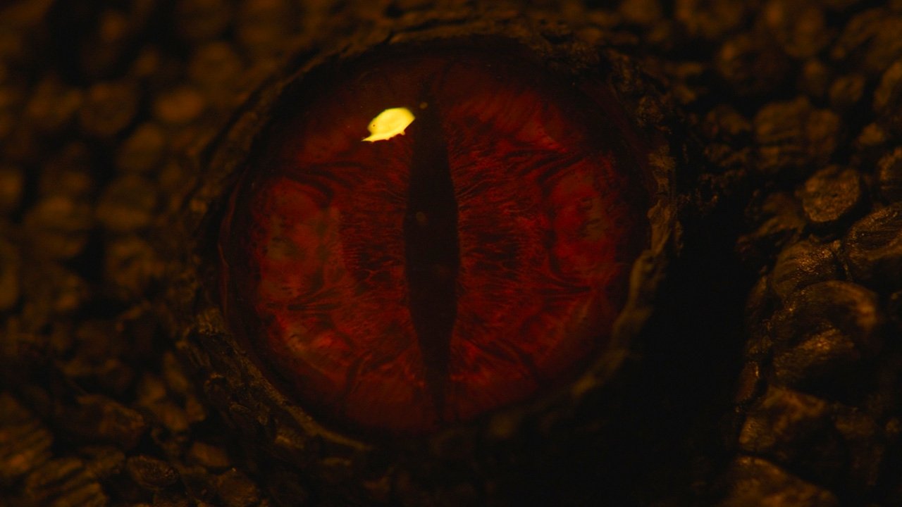 Backdrop for Ojos de Lagarto