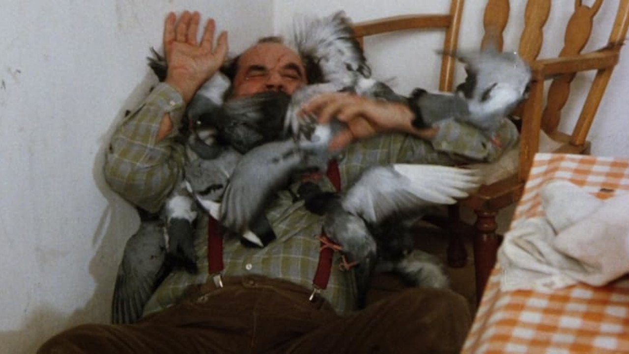 Backdrop for Birds of Prey