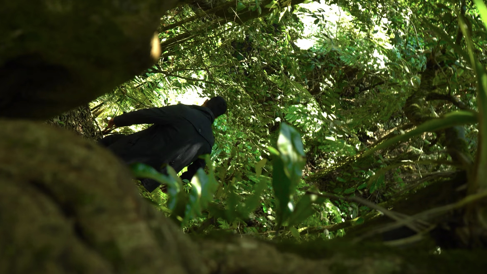 Backdrop for ENTROPOS