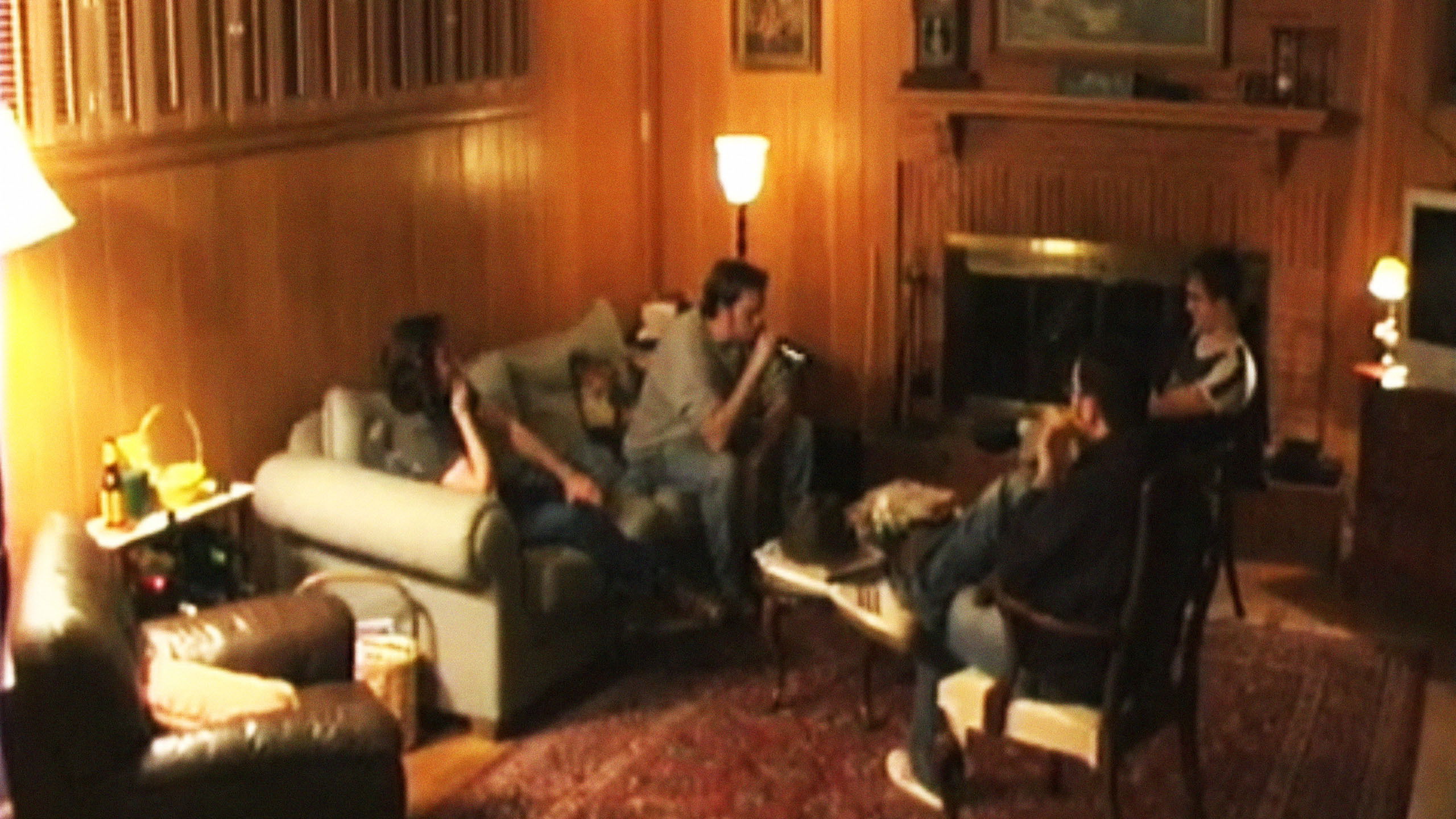 Backdrop for Lions' Den