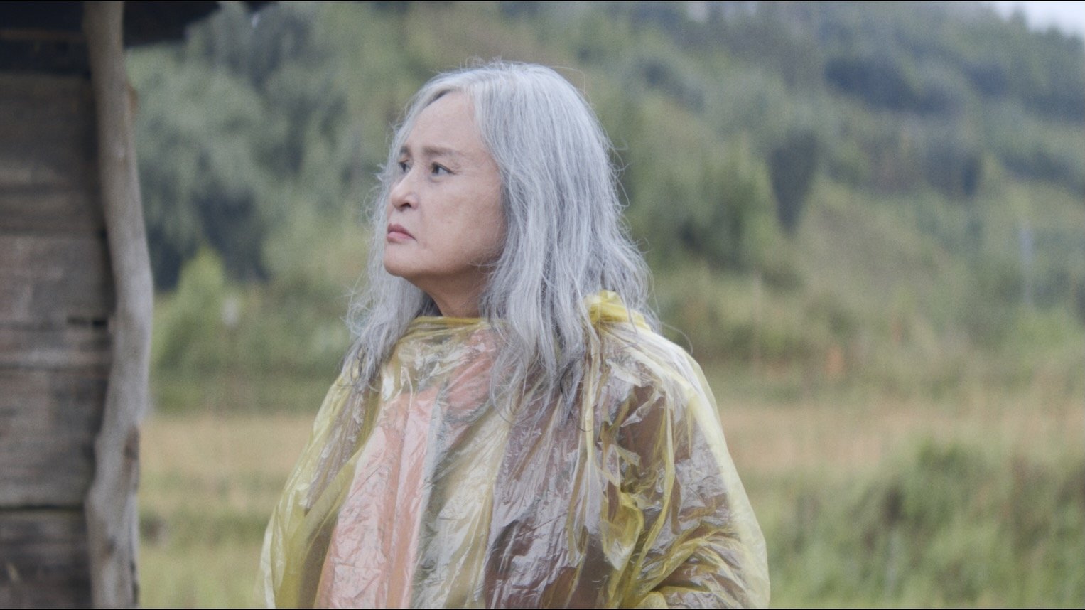 Backdrop for Visiting Heaven Gate