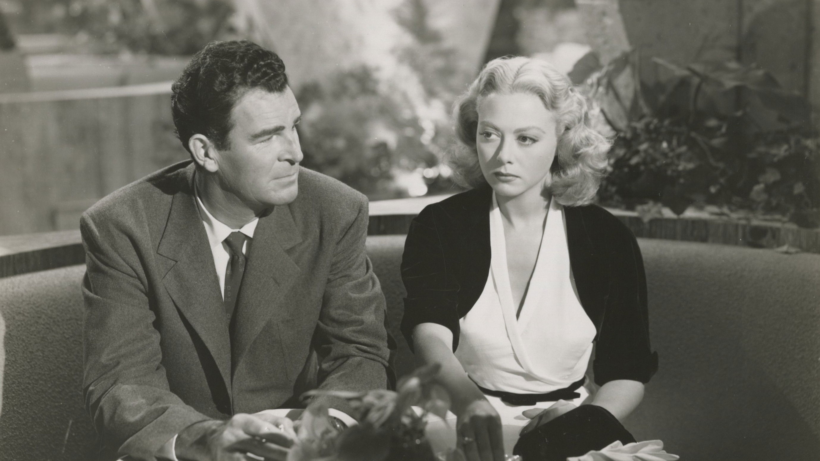 Backdrop for The Sea Hornet