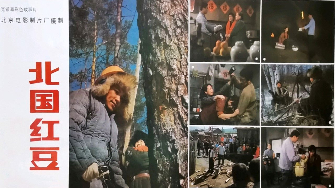 Backdrop for Bei guo hong dou