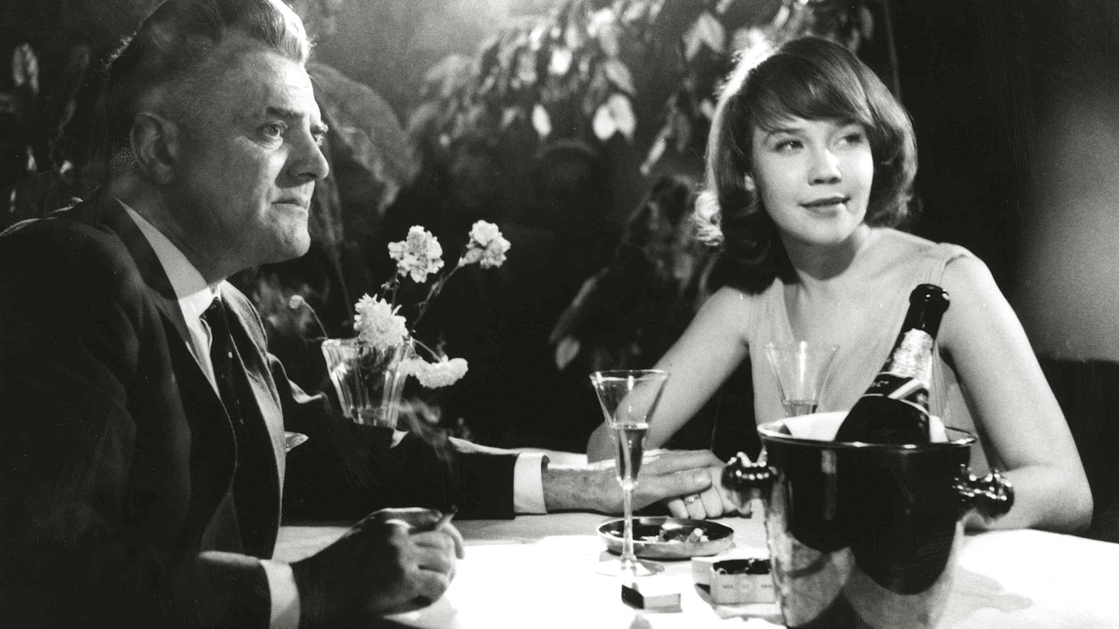 Backdrop for The Scarlet Dove